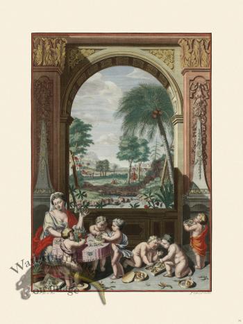 Merian Metamorphosis 73